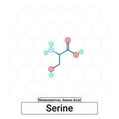 Serine Chemical Structure Non-Essential Amino Acid Organic Molecules, Functional, Side Chain, Carboxyl, Amino Group, Protein Building Block Isolated on Whited Background, Chemistry, Biology