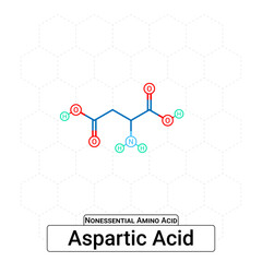Aspartic Acid Chemical Structure Non-Essential Amino Acid Organic Molecules, Functional, Side Chain, Carboxyl, Amino Group, Protein Building Block Isolated on Whited Background, Chemistry, Biology