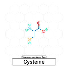 Cysteine Chemical Structure Non-Essential Amino Acid Organic Molecules, Functional, Side Chain, Carboxyl, Amino Group, Protein Building Block Isolated on Whited Background, Chemistry, Biology
