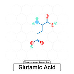 Glutamic Acid Chemical Structure Non-Essential Amino Acid Organic Molecules, Functional, Side Chain, Carboxyl, Amino Group, Protein Building Block Isolated on Whited Background, Chemistry, Biology