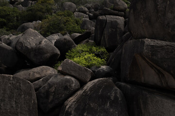 each of green between the rocks