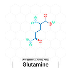 Glutamine Chemical Structure Non-Essential Amino Acid Organic Molecules, Functional, Side Chain, Carboxyl, Amino Group, Protein Building Block Isolated on Whited Background, Chemistry, Biology