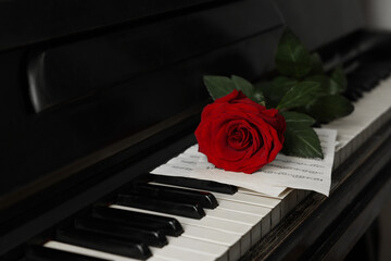 Beautiful red rose and musical notes on piano keys