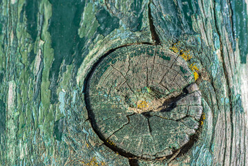Fototapeta na wymiar Green painted wooden lumber plank background