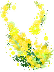 Yellow mimosa flower symbol 8 march womens day acacia