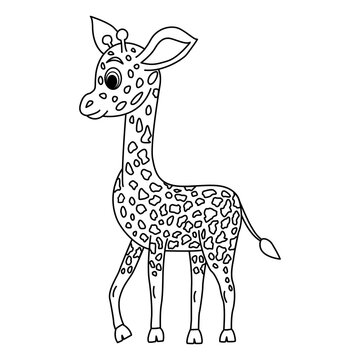 Cartoon cute baby giraffe for coloring book. Vector illustration of a little baby giraffe