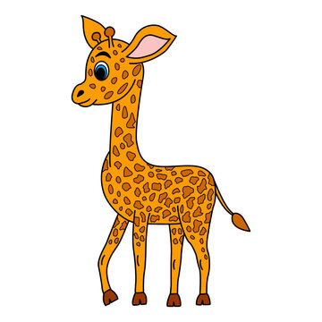 Cartoon cute baby giraffe. Vector illustration of a little baby giraffe