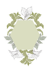 Fototapeta premium Floral frame with watercolor and line art plants and herbs. Pepper mint branches frame