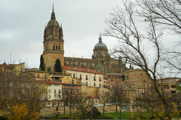 Obraz premium catedral de salamanca vista desde el puente romano