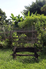 Obraz premium wooden bench in the forest