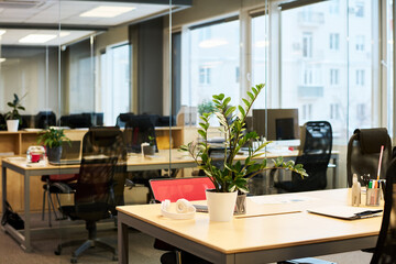 Part of desk serving as workplace of chief executive officer or office manager with green plant in flowerpot, headphones and other supplies