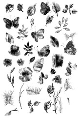 A set of spots. Collection of flowers, butterflies, foliage, different shapes and geometries.Isolated drawing for creating masks and brushes in photoshop and procrit. Silhouettes of abstract shapes