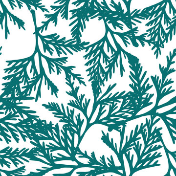 thuja tree branch.seamless pattern. eps 10 vector stock illustration. out line.