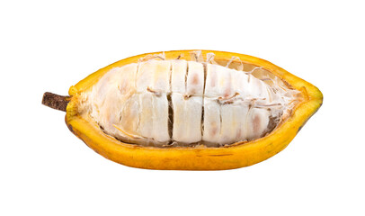 Fresh cocoa isolated on  transparent png