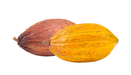 Cocoa isolated on  transparent png