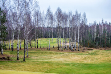 Obraz premium cloudy gray day on the golf course