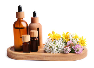 Tray with bottles of essential oils and different wildflowers on white background