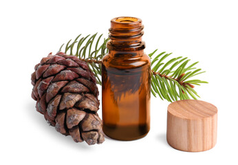 Bottle of pine essential oil, tree branch and cone on white background