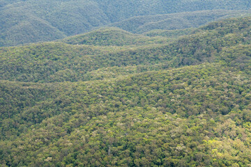 Bird's eye view of Blue Mountains National Park, dense forests with blue haze