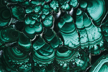 Arrière plan macro de texture d'une pierre semi-précieuse malachite - Espace coloré abstrait	