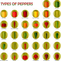 Set of icons with different types of peppers. Sweet peppers. Mild and medium hot, super hot Chili peppers. Vegetables. Flat style. Vector illustration isolated on white background. 