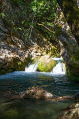 Fototapeta premium waterfall in forest spain