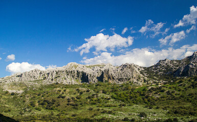 sierra the grazalema mountains