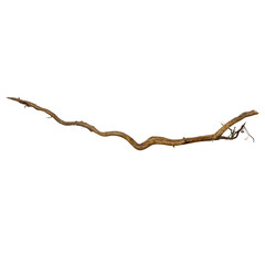 wooden magic wand in the shape of a branch