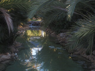 Rio artificial con reflejos de los arboles