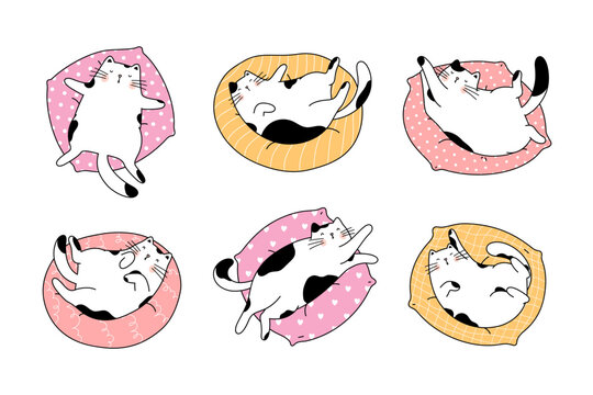 Hand Drawn Character Collection With Cute Cats Lying On The Pillow. Adorable Kittens Sleeping On Cosy Pet Cushion. Vector Design Concept. Outline Illustration Cartoon Style.