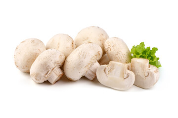 Champignons, close-up, isolated on white background.