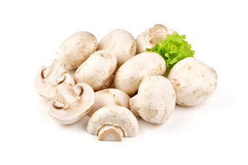Champignons, close-up, isolated on white background.