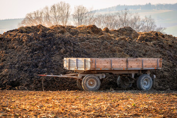 Flatbed truck parked in a field near manure. The fields are being fertilized.