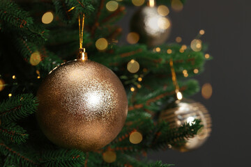 Beautiful Christmas ball hanging on fir tree branch against dark background, closeup