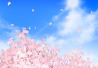 美しく華やかな満開の桜と花びら舞い散る春の爽やか青空に光差し込む雲のフレーム背景素材イラスト タイトル変更 © MerciArtworks