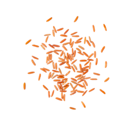 brown rice seeds isolated on transparent png