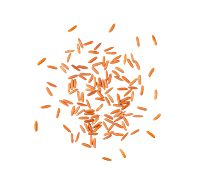 brown rice seeds isolated on transparent png