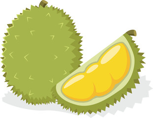 Durian tropical fruits isolated on white background