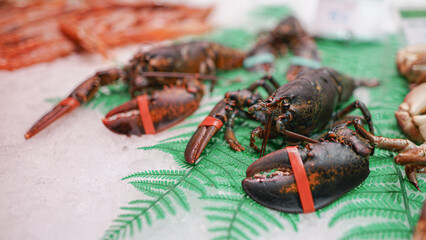 lobster on the market