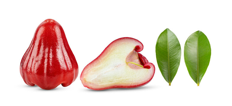 rose apple with leaf  isolated on transparent png