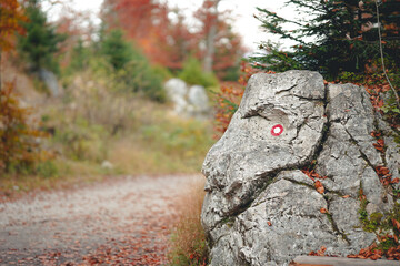 trail in the mountains