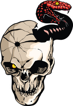 Demon skull with deadly snake horror tattoo art unique character design emblem logo print vector illustration drawing fear halloween python pit viper colorful