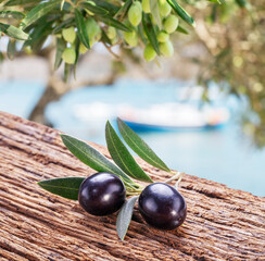 Two fresh olives on twig over wooden table. Olive tree and blue sea at the background.