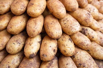 potatoes on the market