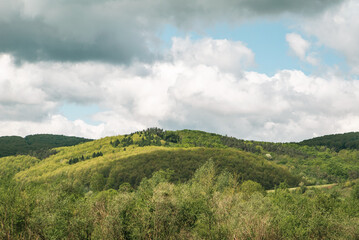 Obraz premium the hills are covered with green trees. the lungs of nature.