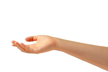 A woman's hand extended palm upwards isolated against a white background. A beautiful hand gesture, an empty palm. Women's palm on a white background