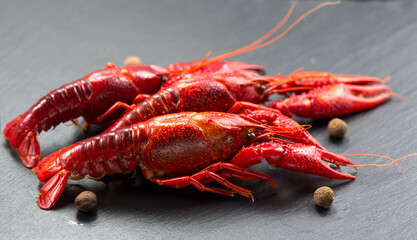 Crayfish, Crawfish closeup. Red boiled crayfish with herbs and lemon on stone slate dark background. Crawfishes. Fresh Lobster closeup. 