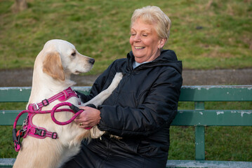 Senior woman and golden retriever dog playing on a park bench in winter 