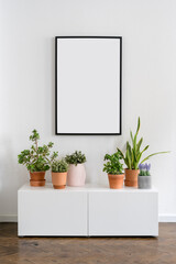 blank picture on wall and houseplants on shelf indoors
