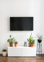 potted plants on cabinet table and television display on wall indoors